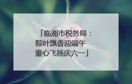 临湘市税务局：粽叶飘香迎端午 童心飞扬庆六一