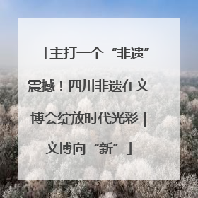 主打一个“非遗”震撼！四川非遗在文博会绽放时代光彩｜文博向“新”