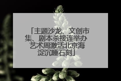 主题沙龙、文创市集、剧本杀接连举办 艺术周激活北京海淀沉睡石刻