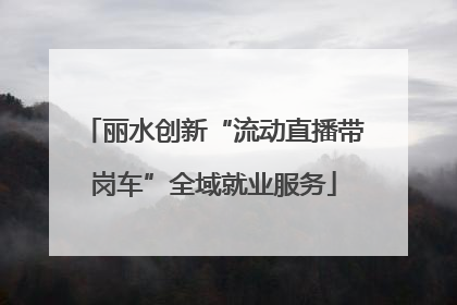 丽水创新“流动直播带岗车”全域就业服务