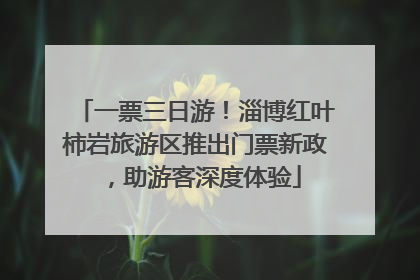 一票三日游！淄博红叶柿岩旅游区推出门票新政，助游客深度体验