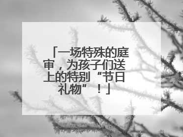 一场特殊的庭审，为孩子们送上的特别“节日礼物”！