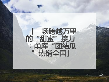 一场跨越万里的“甜蜜”接力：甬库“团结瓜”热销全国