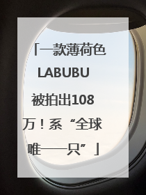 一款薄荷色LABUBU被拍出108万！系“全球唯一一只”