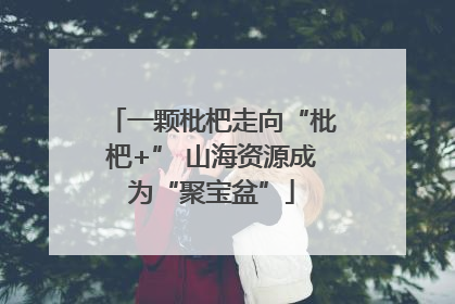 一颗枇杷走向“枇杷+” 山海资源成为“聚宝盆”