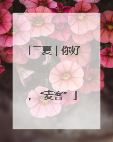 三夏｜你好，“麦客”
