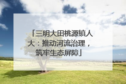 三明大田桃源镇人大：推动河流治理，筑牢生态屏障