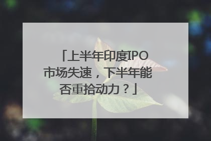 上半年印度IPO市场失速，下半年能否重拾动力？