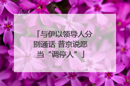 与伊以领导人分别通话 普京说愿当“调停人”