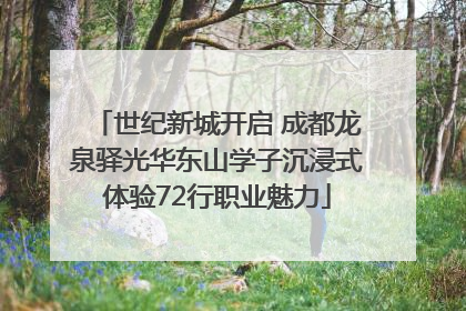 世纪新城开启 成都龙泉驿光华东山学子沉浸式体验72行职业魅力