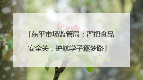 东平市场监管局：严把食品安全关，护航学子逐梦路