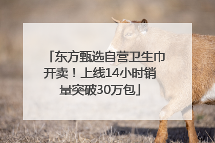 东方甄选自营卫生巾开卖！上线14小时销量突破30万包