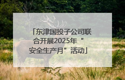 东津国投子公司联合开展2025年“安全生产月”活动