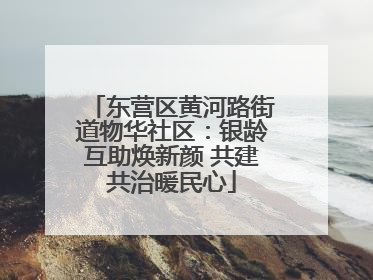 东营区黄河路街道物华社区：银龄互助焕新颜 共建共治暖民心