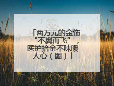 两万元的金饰“不翼而飞”，医护拾金不昧暖人心（图）