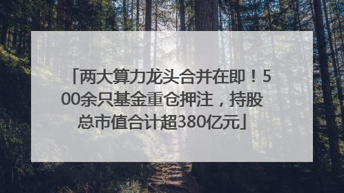 两大算力龙头合并在即！500余只基金重仓押注，持股总市值合计超380亿元