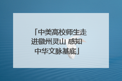 中美高校师生走进徽州灵山 感知中华文脉基底