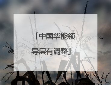 中国华能领导层有调整