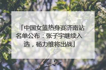 中国女篮热身赛济南站名单公布：张子宇继续入选，杨力维将出战