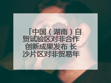 中国（湖南）自贸试验区对非合作创新成果发布 长沙片区对非贸易年均增长141%