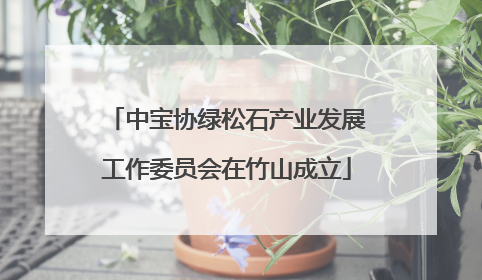 中宝协绿松石产业发展工作委员会在竹山成立
