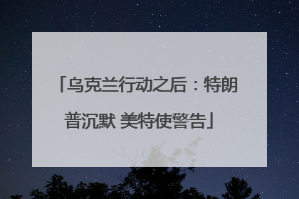 乌克兰行动之后：特朗普沉默 美特使警告