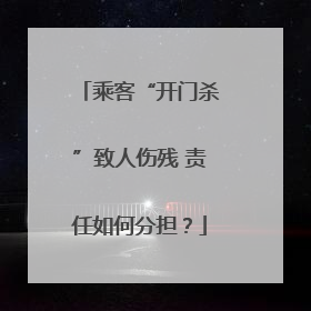 乘客“开门杀”致人伤残 责任如何分担？