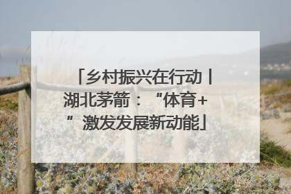 乡村振兴在行动丨湖北茅箭：“体育+”激发发展新动能