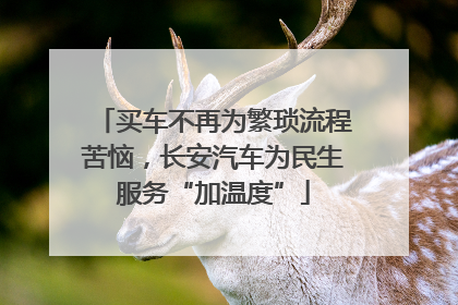 买车不再为繁琐流程苦恼，长安汽车为民生服务“加温度”