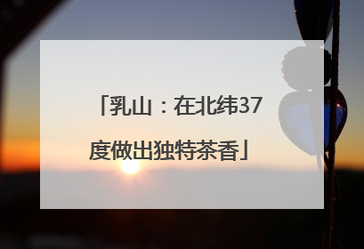 乳山：在北纬37度做出独特茶香