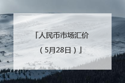 人民币市场汇价（5月28日）