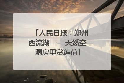 人民日报：郑州西流湖——天然空调房里赏莲荷