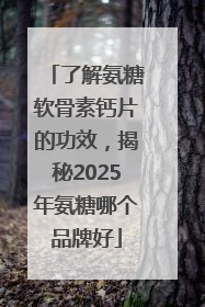了解氨糖软骨素钙片的功效，揭秘2025年氨糖哪个品牌好