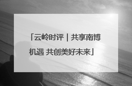 云岭时评｜共享南博机遇 共创美好未来