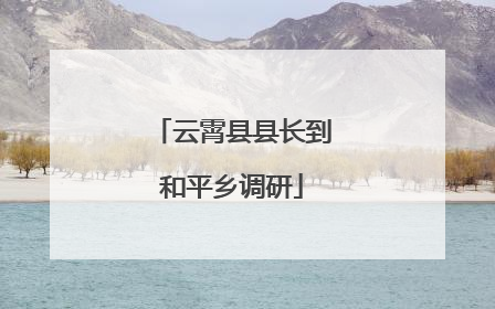 云霄县县长到和平乡调研
