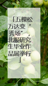 五棵松万达变“秀场”，北服研究生毕业作品展举行