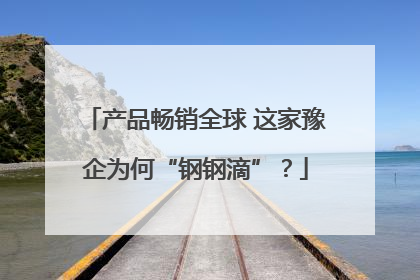 产品畅销全球 这家豫企为何“钢钢滴”？