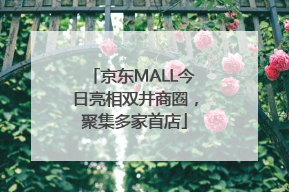京东MALL今日亮相双井商圈，聚集多家首店