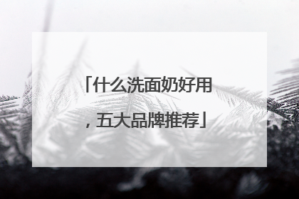 什么洗面奶好用，五大品牌推荐