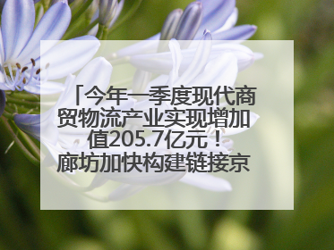 今年一季度现代商贸物流产业实现增加值205.7亿元！廊坊加快构建链接京津冀面向全世界的物流通道
