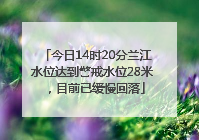 今日14时20分兰江水位达到警戒水位28米，目前已缓慢回落