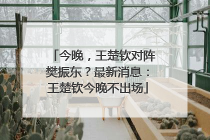 今晚，王楚钦对阵樊振东？最新消息：王楚钦今晚不出场