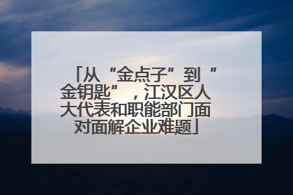 从“金点子”到“金钥匙”，江汉区人大代表和职能部门面对面解企业难题