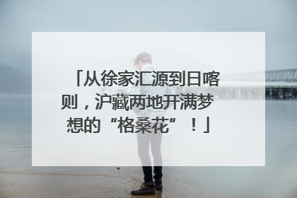 从徐家汇源到日喀则，沪藏两地开满梦想的“格桑花”！