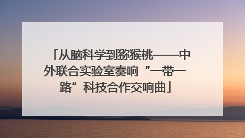 从脑科学到猕猴桃——中外联合实验室奏响“一带一路”科技合作交响曲