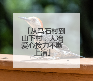 从马石村到山下村，大冶爱心接力不断上演