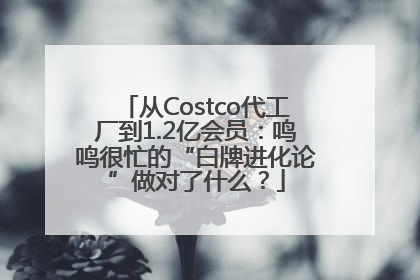 从Costco代工厂到1.2亿会员：鸣鸣很忙的“白牌进化论”做对了什么？