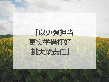 以更强担当更实举措扛好挑大梁责任