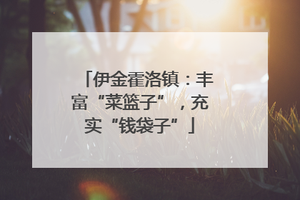 伊金霍洛镇：丰富“菜篮子”，充实“钱袋子”