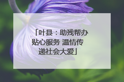 叶县：助残帮办贴心服务 温情传递社会大爱